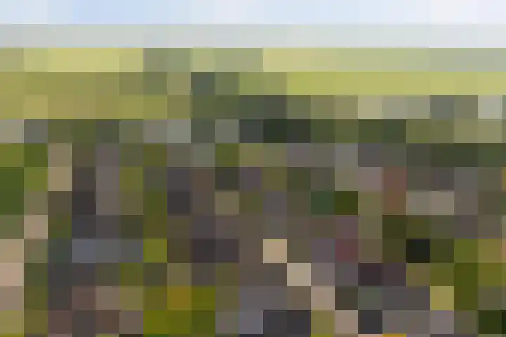 Sudermuda 12 Leeuwarden thumbnail 66