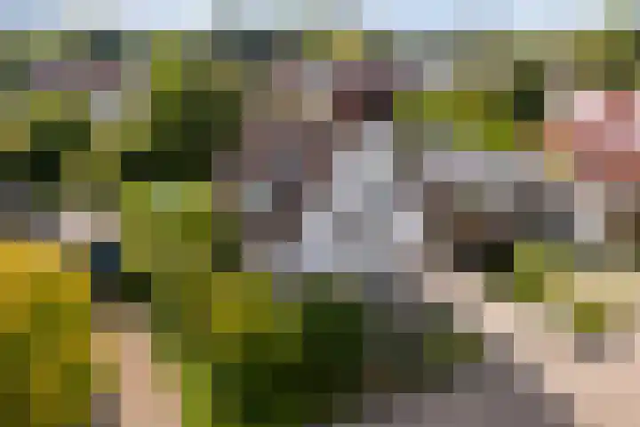 Sudermuda 12 Leeuwarden thumbnail 68