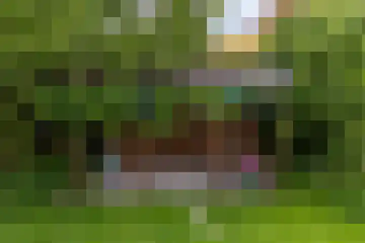Sudermuda 12 Leeuwarden thumbnail 69