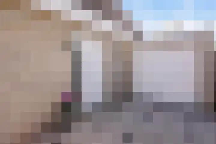 Sudermuda 12 Leeuwarden thumbnail 8
