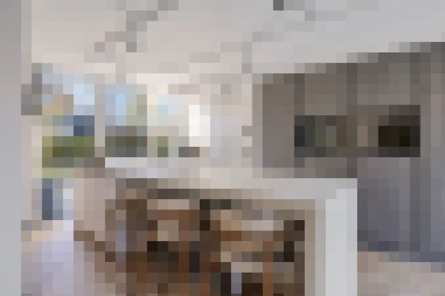 Sudermuda 25 Leeuwarden thumbnail 12