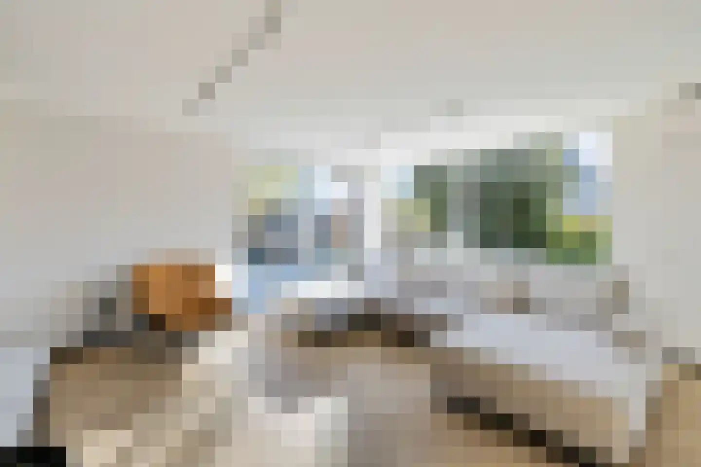 Sudermuda 25 Leeuwarden thumbnail 18