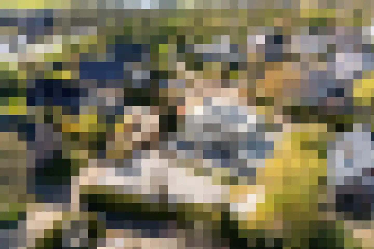 Sudermuda 25 Leeuwarden thumbnail 46