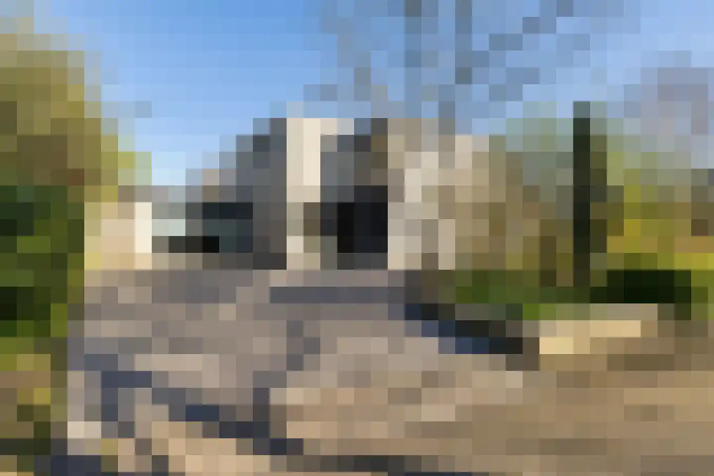 Sudermuda 25 Leeuwarden thumbnail 7