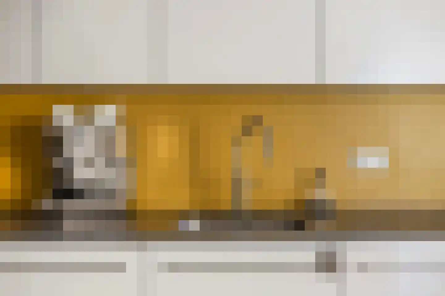 Sudermuda 6 Leeuwarden thumbnail 19