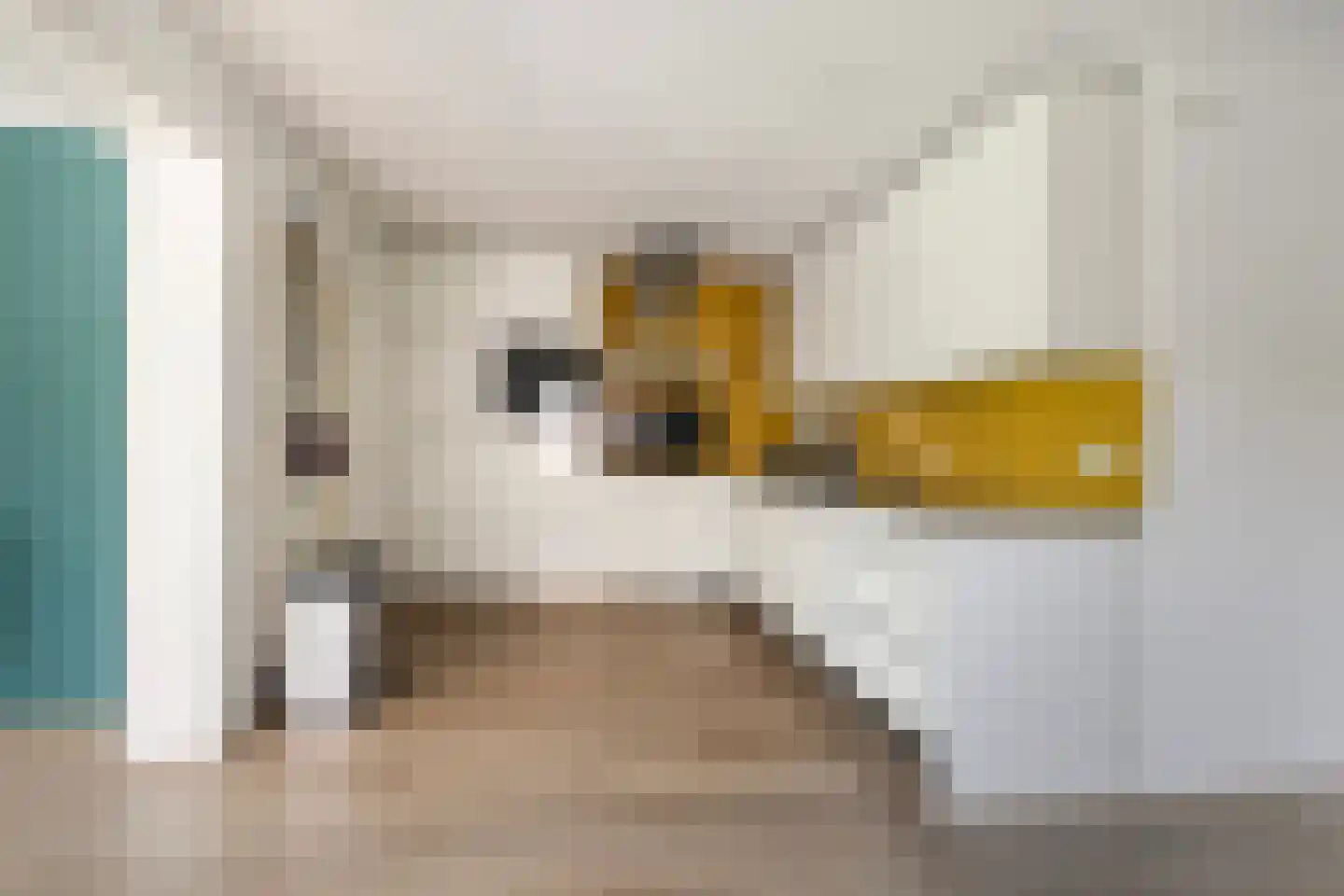 Sudermuda 6 Leeuwarden thumbnail 20