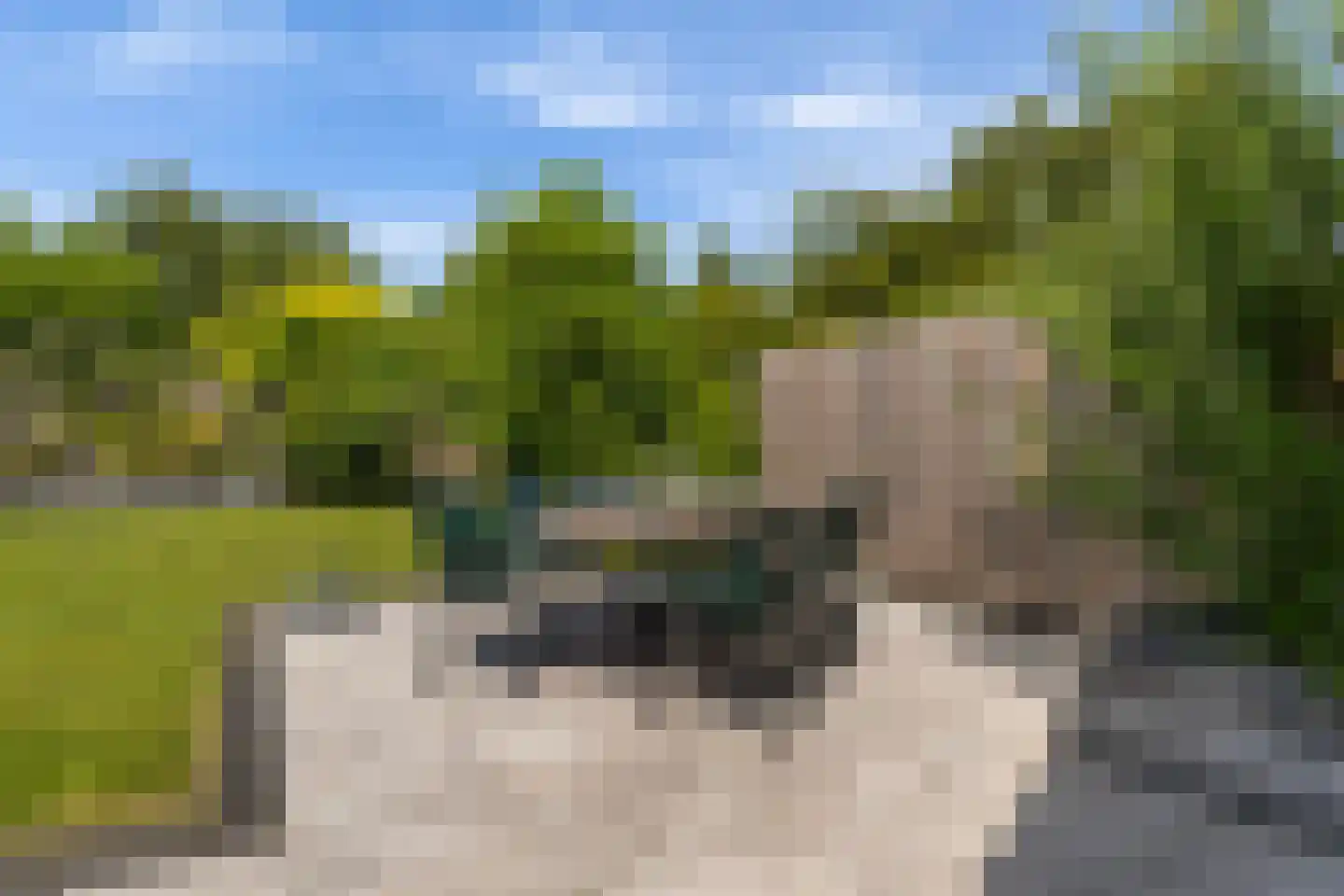 Sudermuda 6 Leeuwarden thumbnail 23