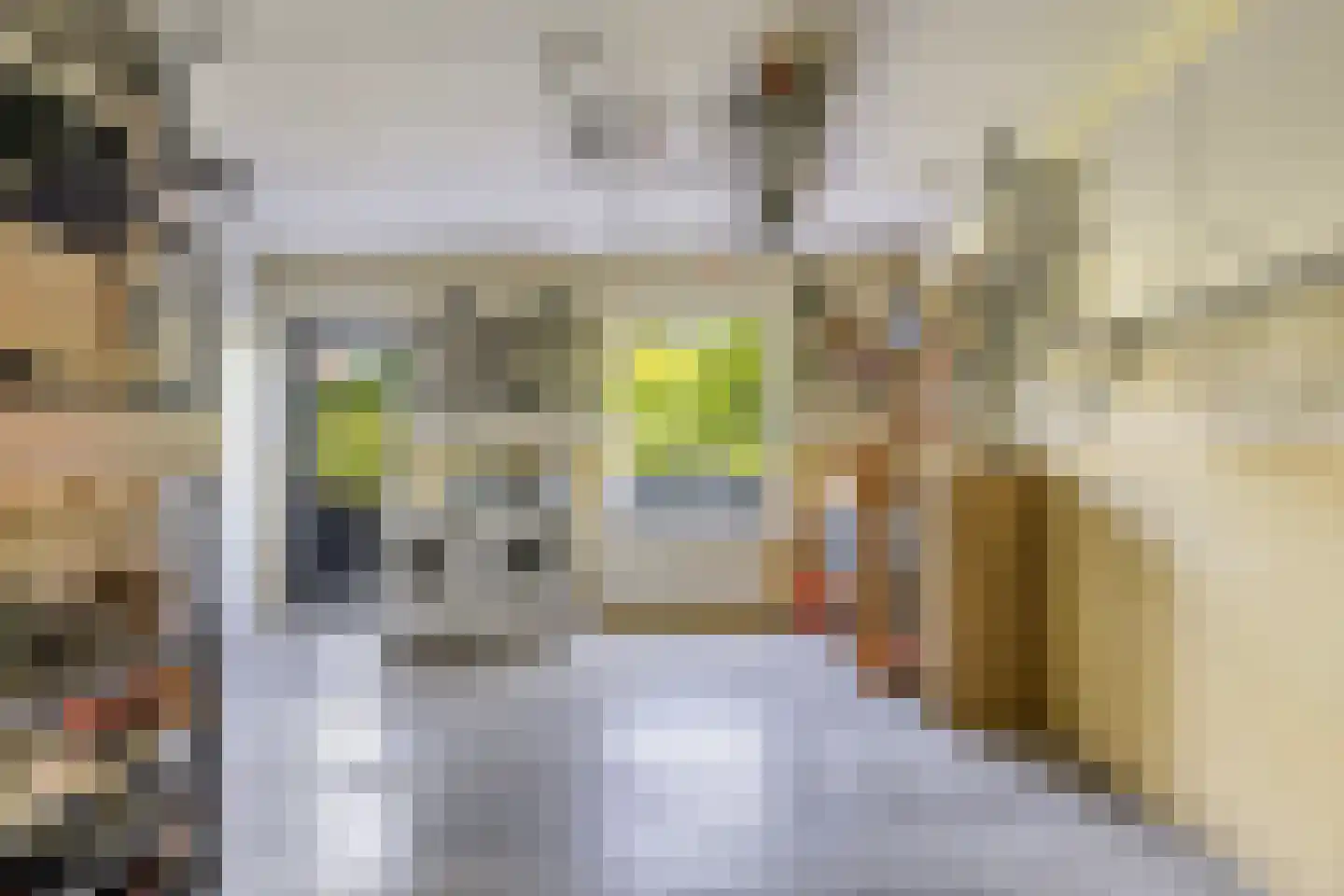 Sudermuda 6 Leeuwarden thumbnail 50