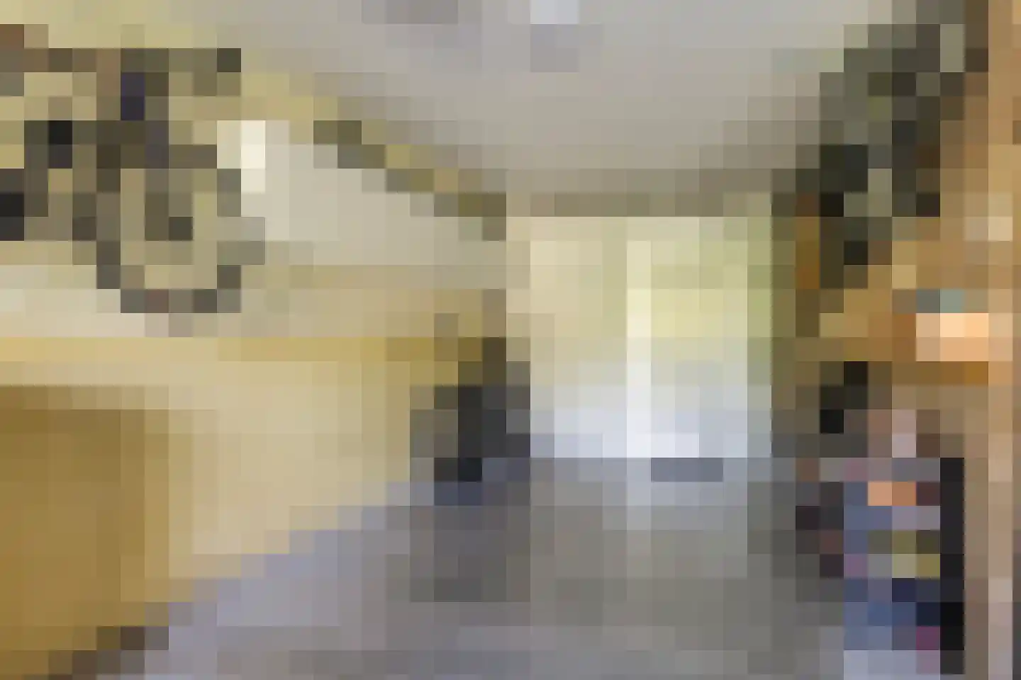 Sudermuda 6 Leeuwarden thumbnail 51