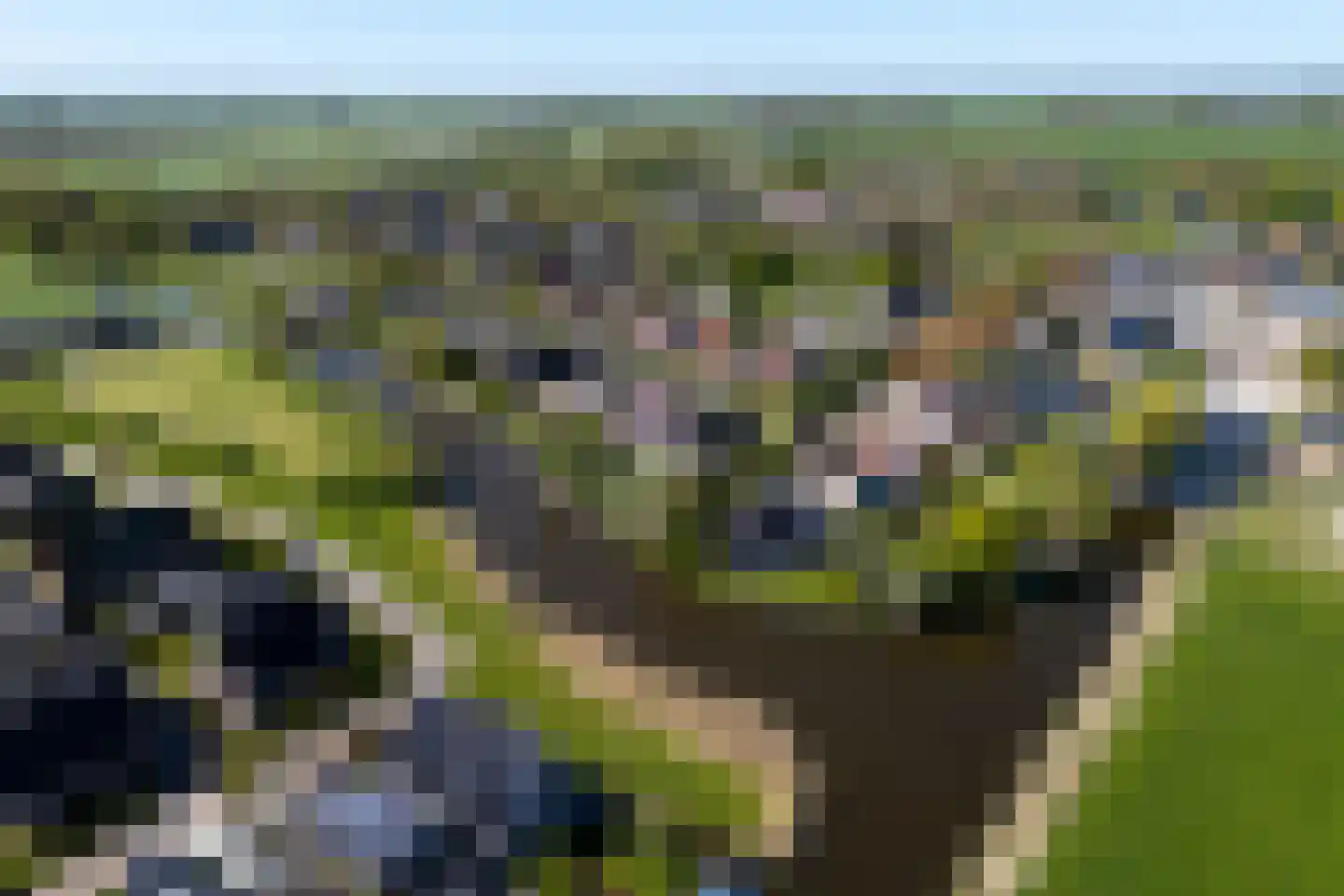 Suderom 1 Reduzum thumbnail 39