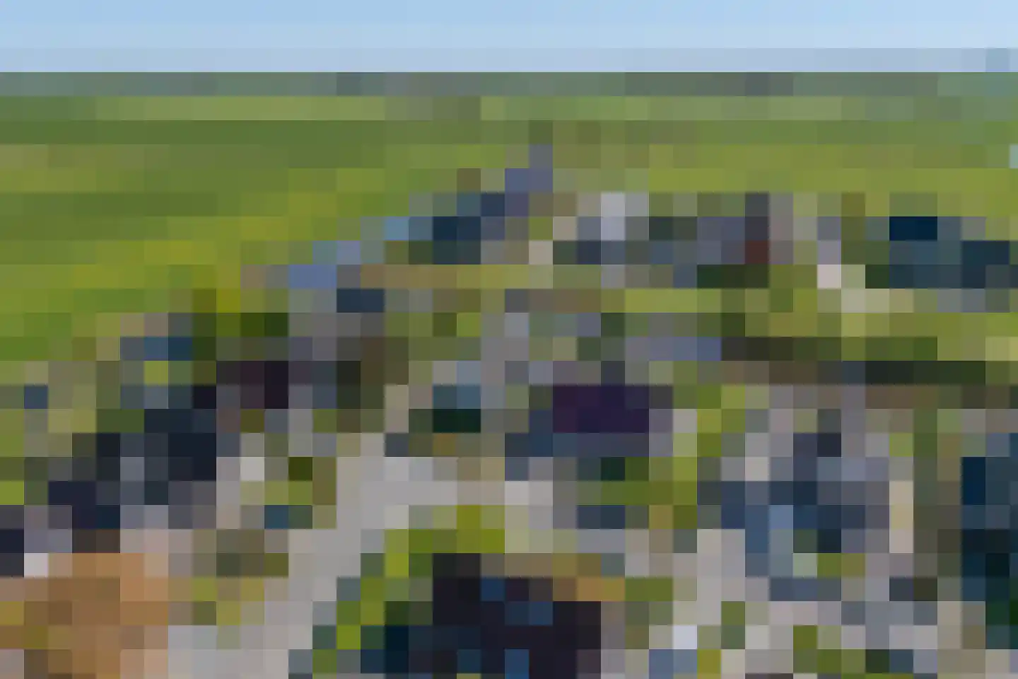 Suderom 1 Reduzum thumbnail 8