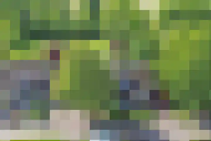 Suderom 10 Boornbergum thumbnail 4