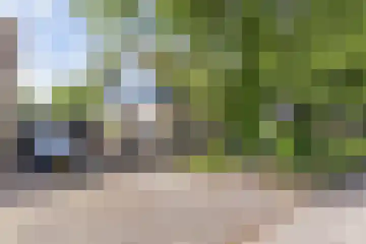 Suderom 10 Boornbergum thumbnail 5