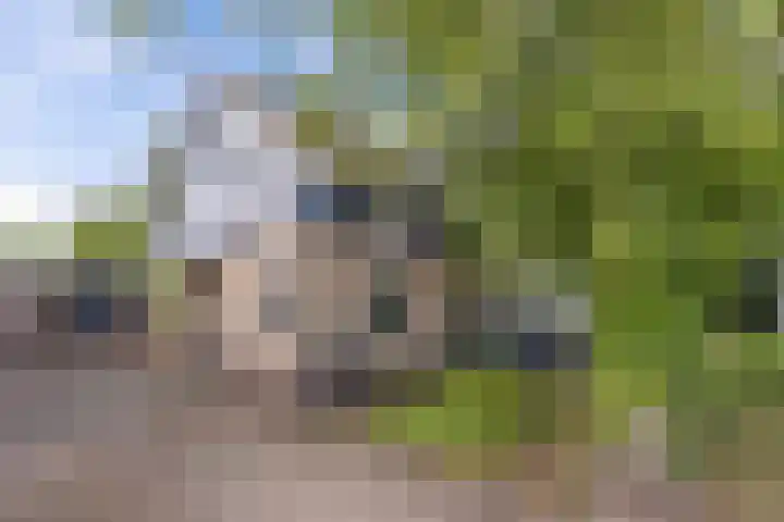 Suderom 10 Boornbergum thumbnail 6