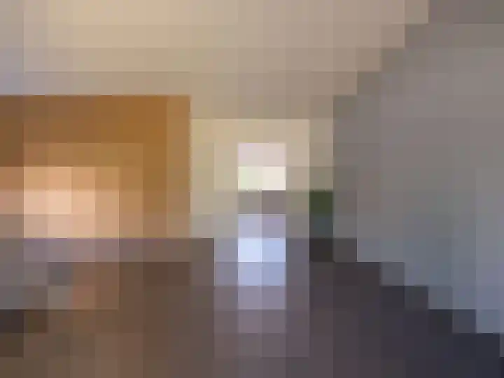 Suderom 41 Boornbergum thumbnail 11