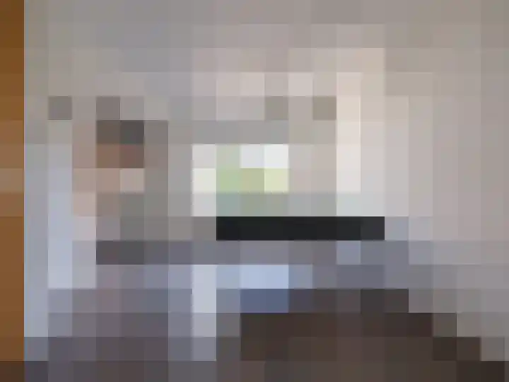 Suderom 41 Boornbergum thumbnail 13