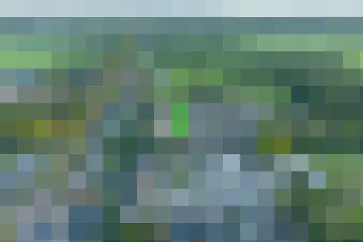 Suderom 41 Boornbergum thumbnail 36