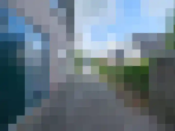 Suderom 41 Boornbergum thumbnail 7
