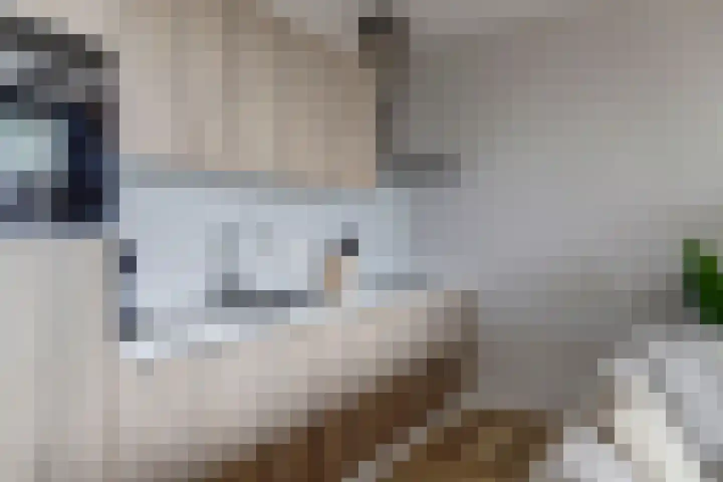 Suderséleane 25 V 004 Workum thumbnail 11