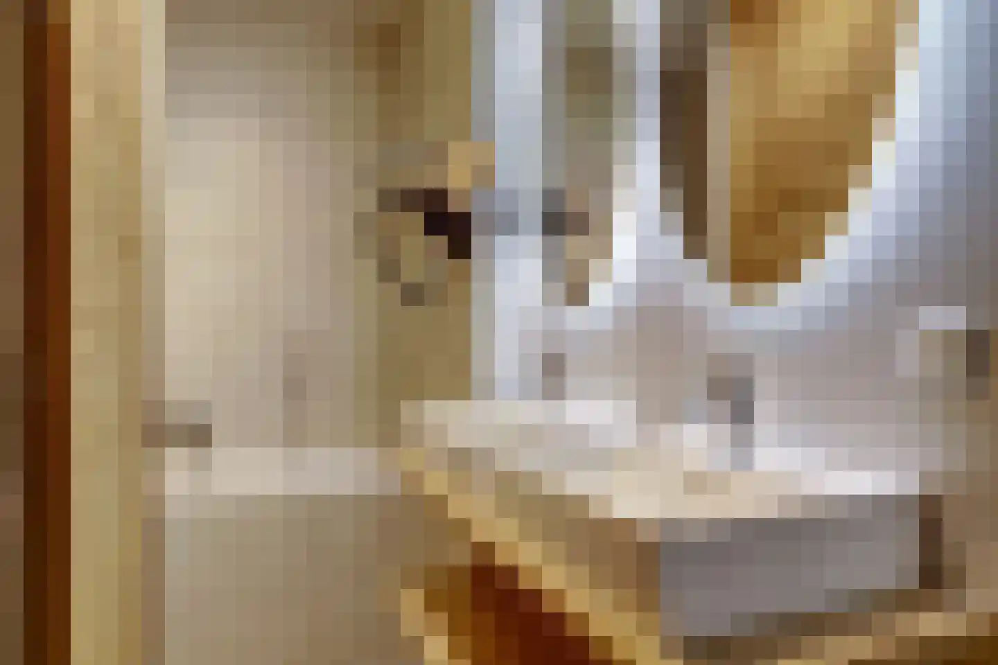Suderséleane 25 V 004 Workum thumbnail 15
