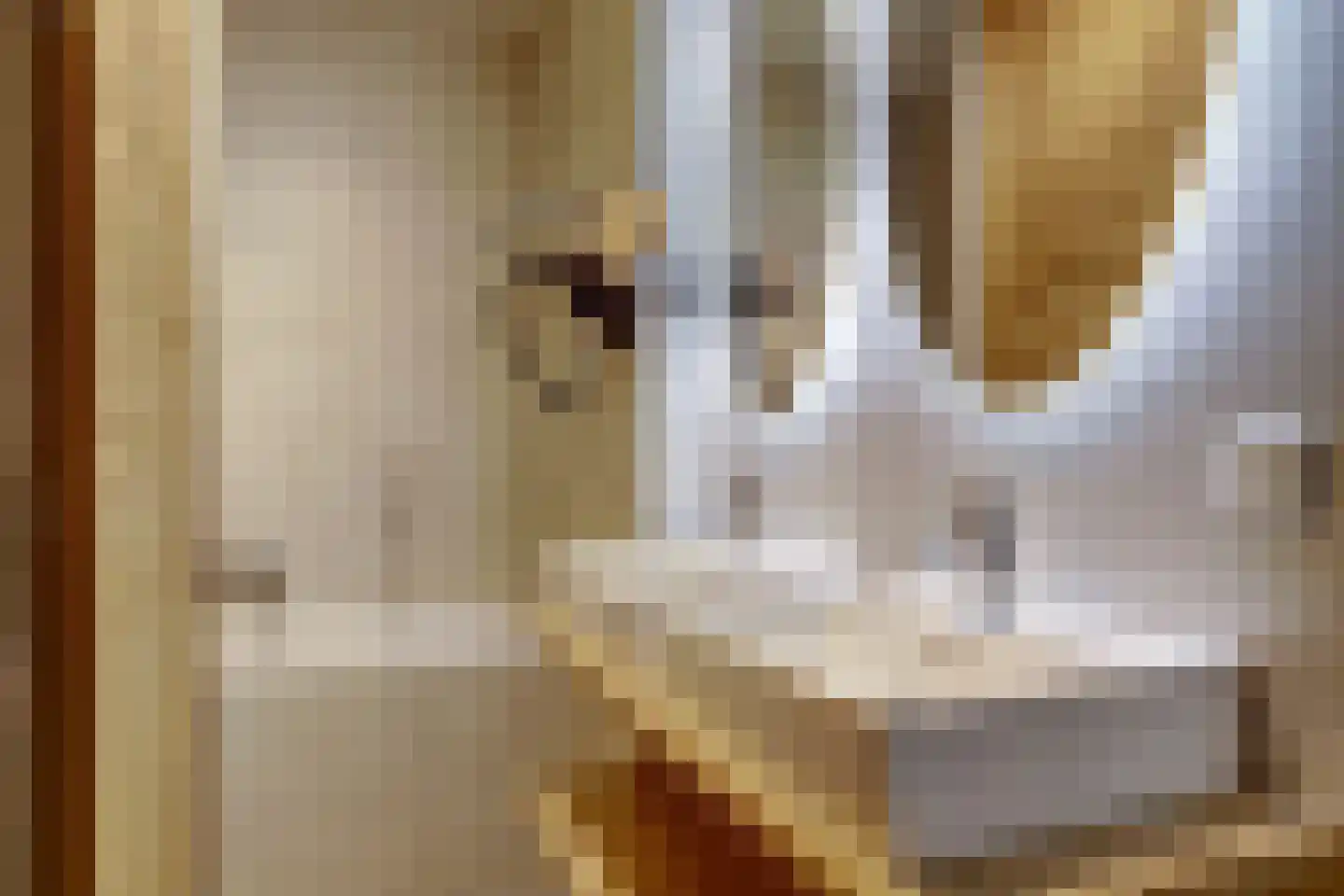 Suderséleane 25 V 004 Workum thumbnail 15