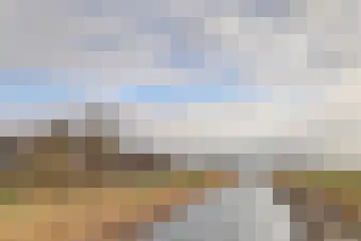 Suderséleane 25 V 004 Workum thumbnail 18