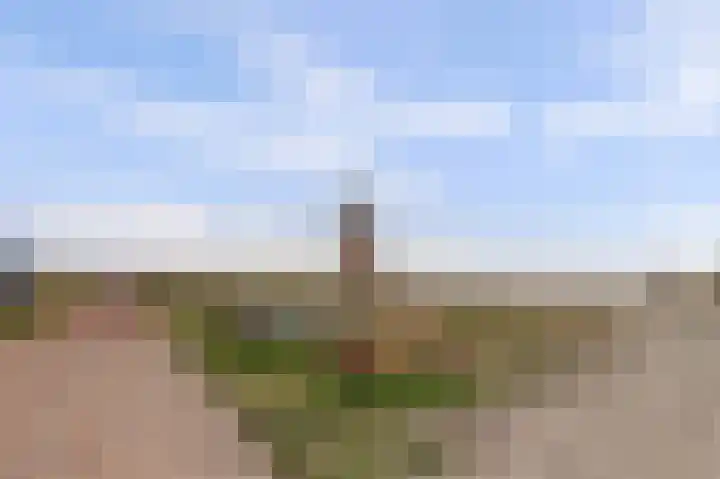 Suderséleane 25 V 004 Workum thumbnail 21