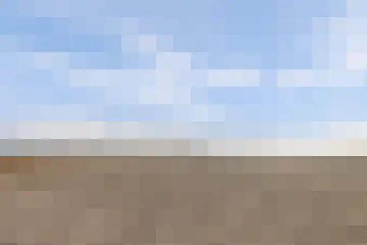 Suderséleane 25 V 004 Workum thumbnail 22