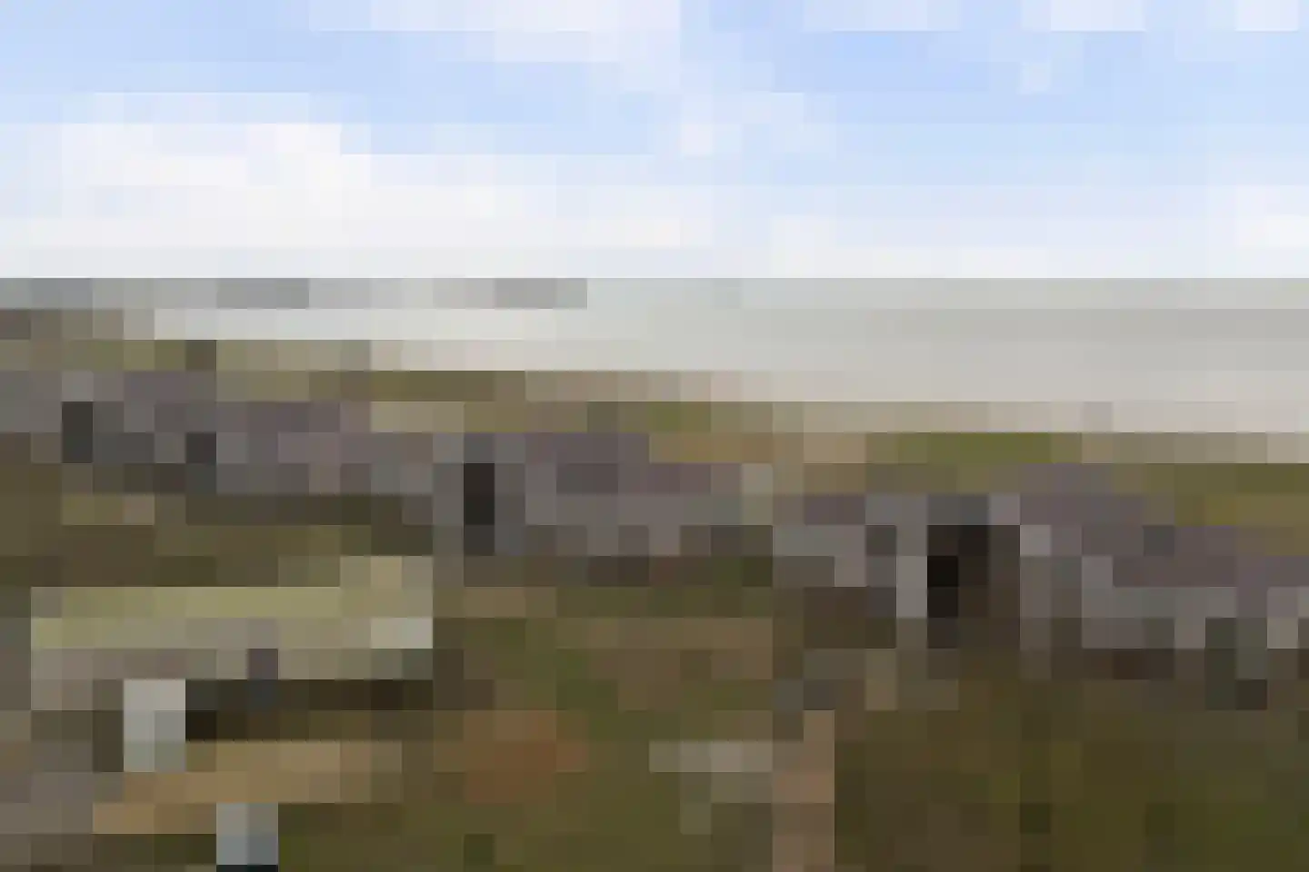 Suderséleane 25 V 004 Workum thumbnail 27
