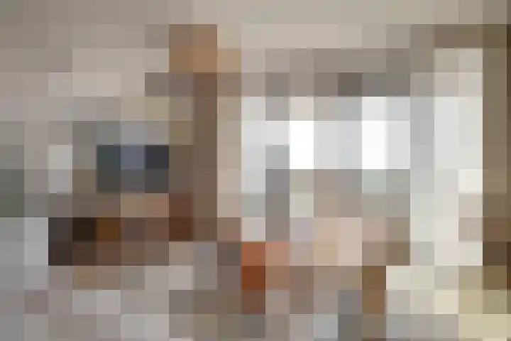 Suderséleane 25 V 004 Workum thumbnail 4