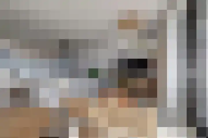 Suderséleane 25 V 004 Workum thumbnail 7