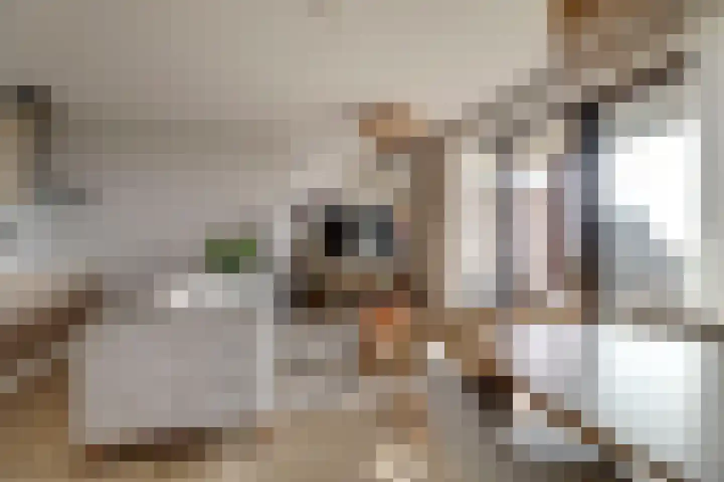 Suderséleane 25 V 004 Workum thumbnail 8