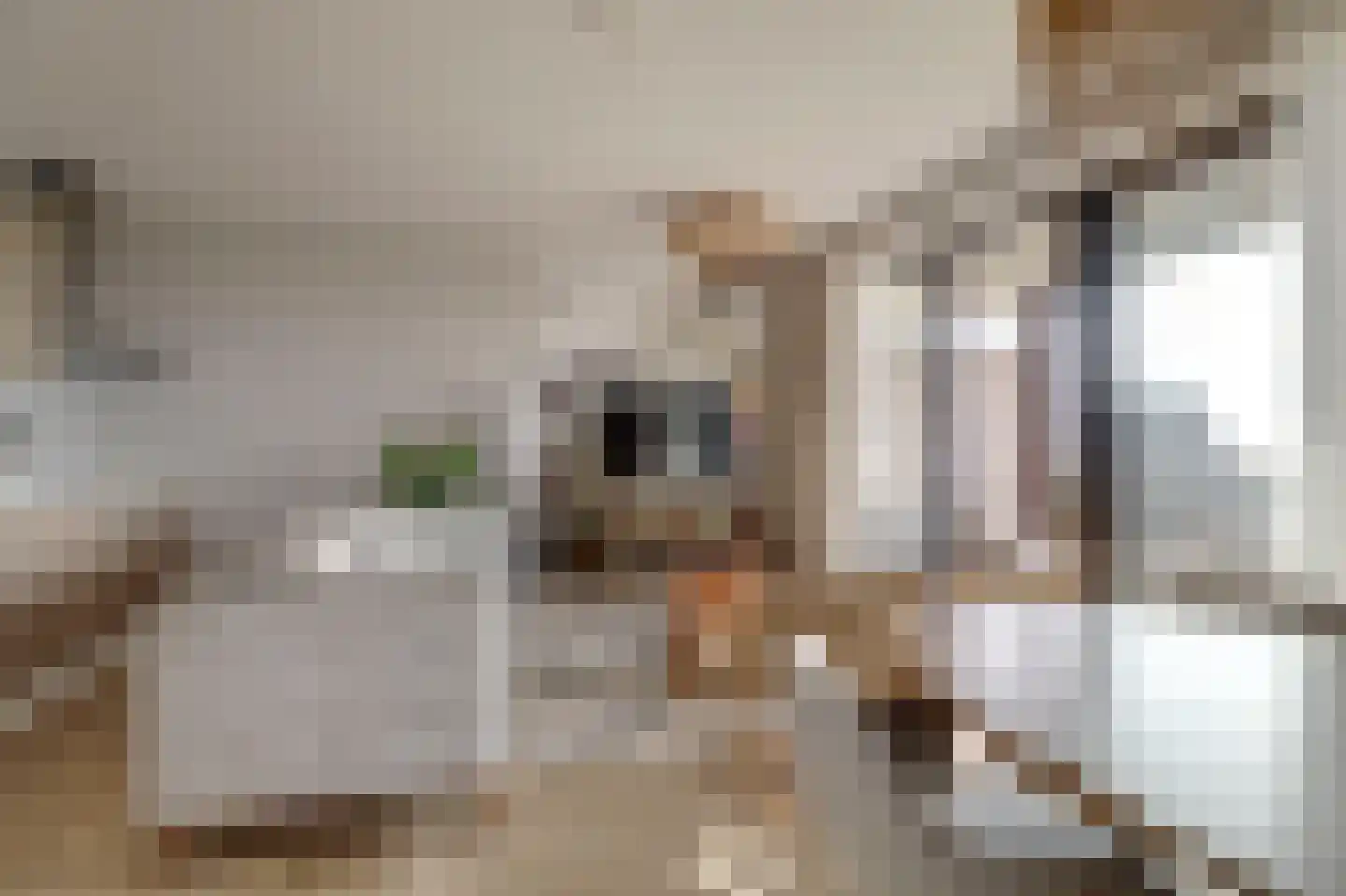 Suderséleane 25 V 004 Workum thumbnail 8
