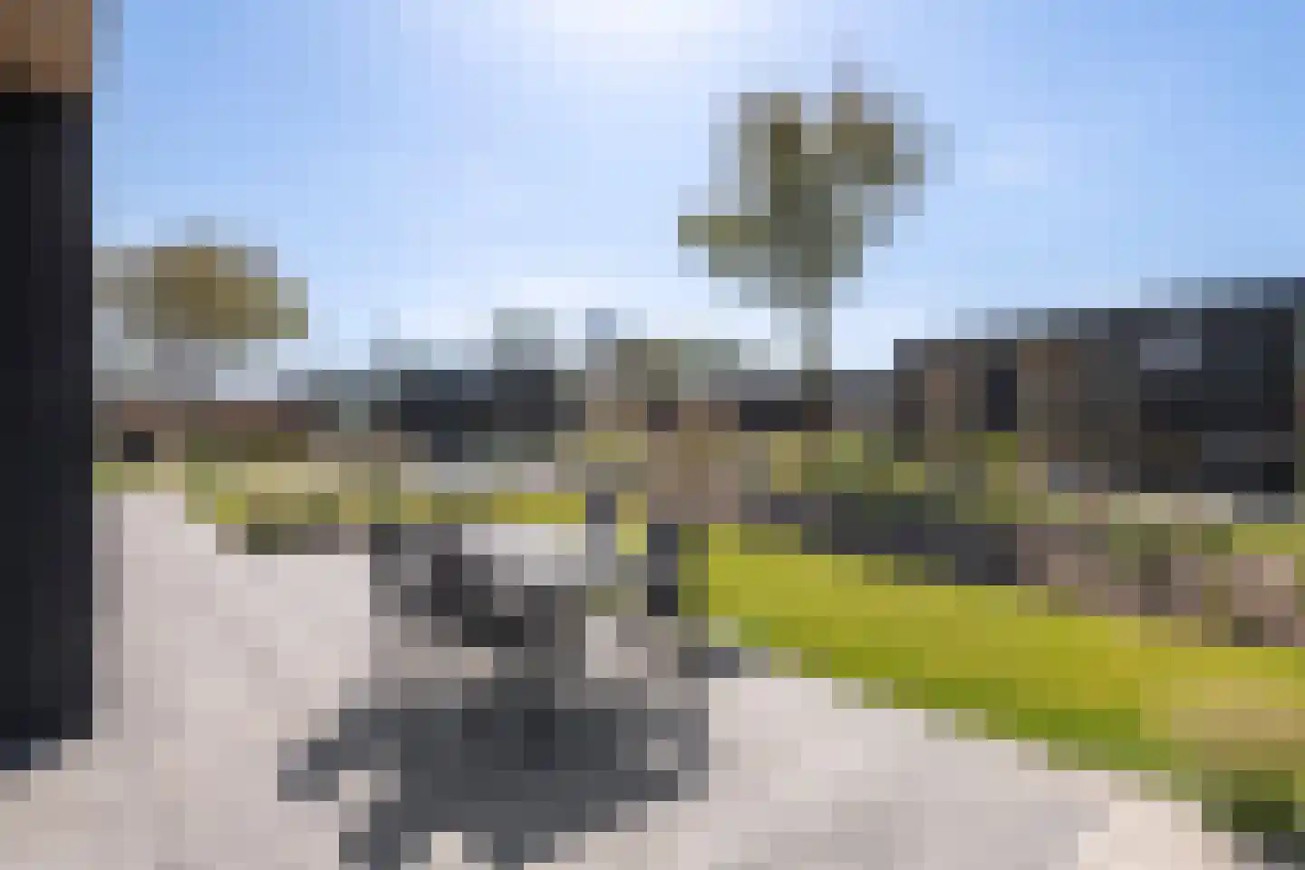 Suderséleane 27 20 Workum thumbnail 19