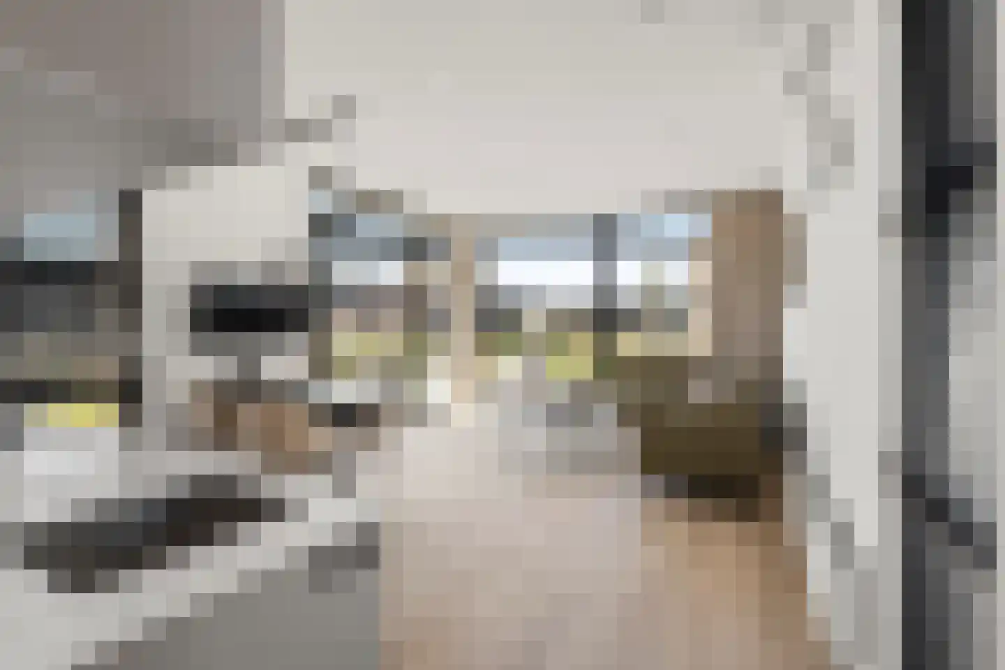 Suderséleane 27 20 Workum thumbnail 4
