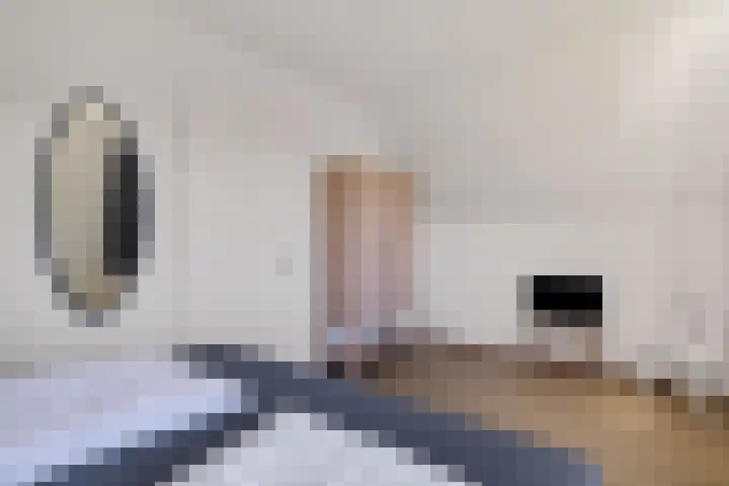 Suderskâns 8 433 Eanjum thumbnail 15