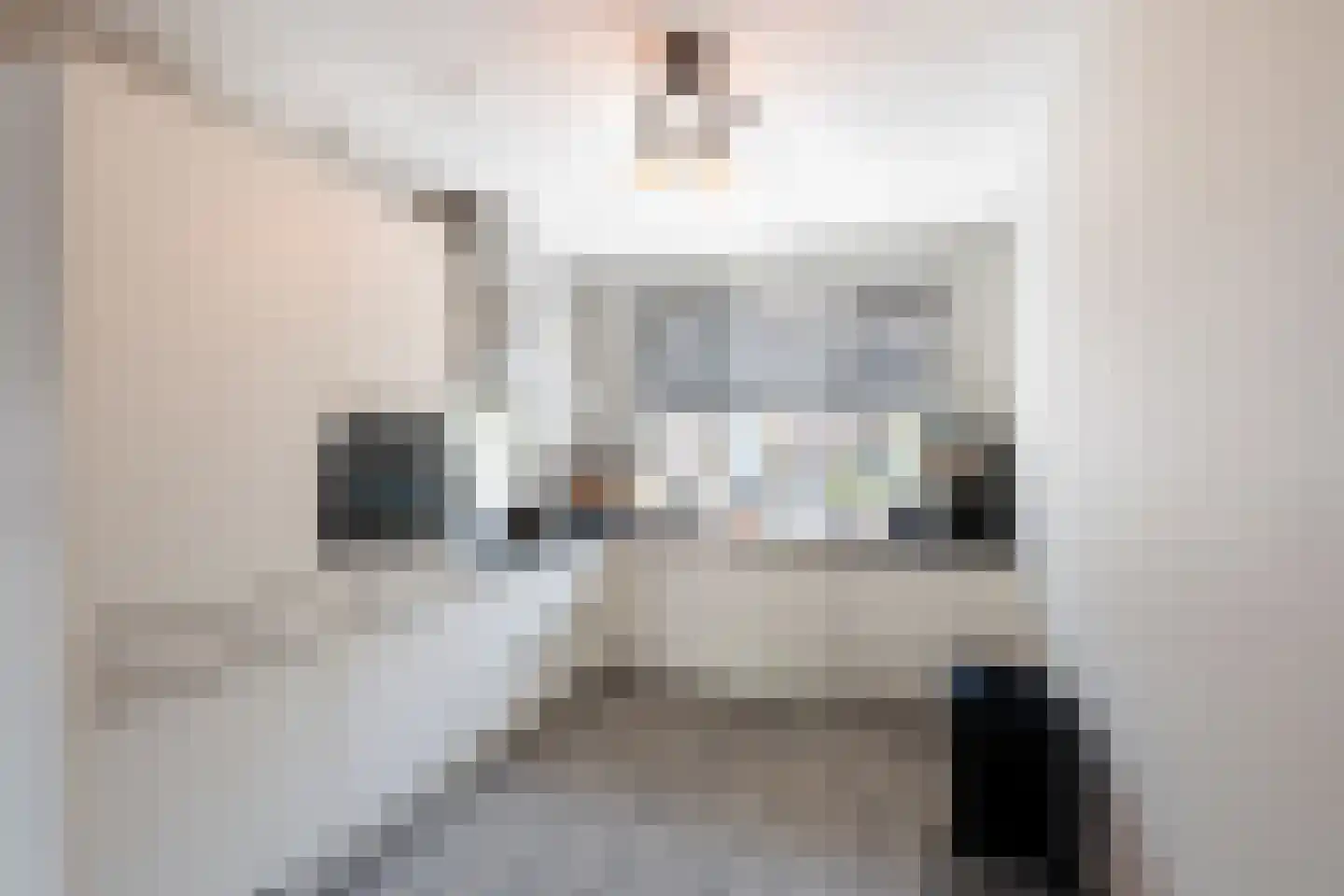 Sudesstraat 19 Naaldwijk thumbnail 13