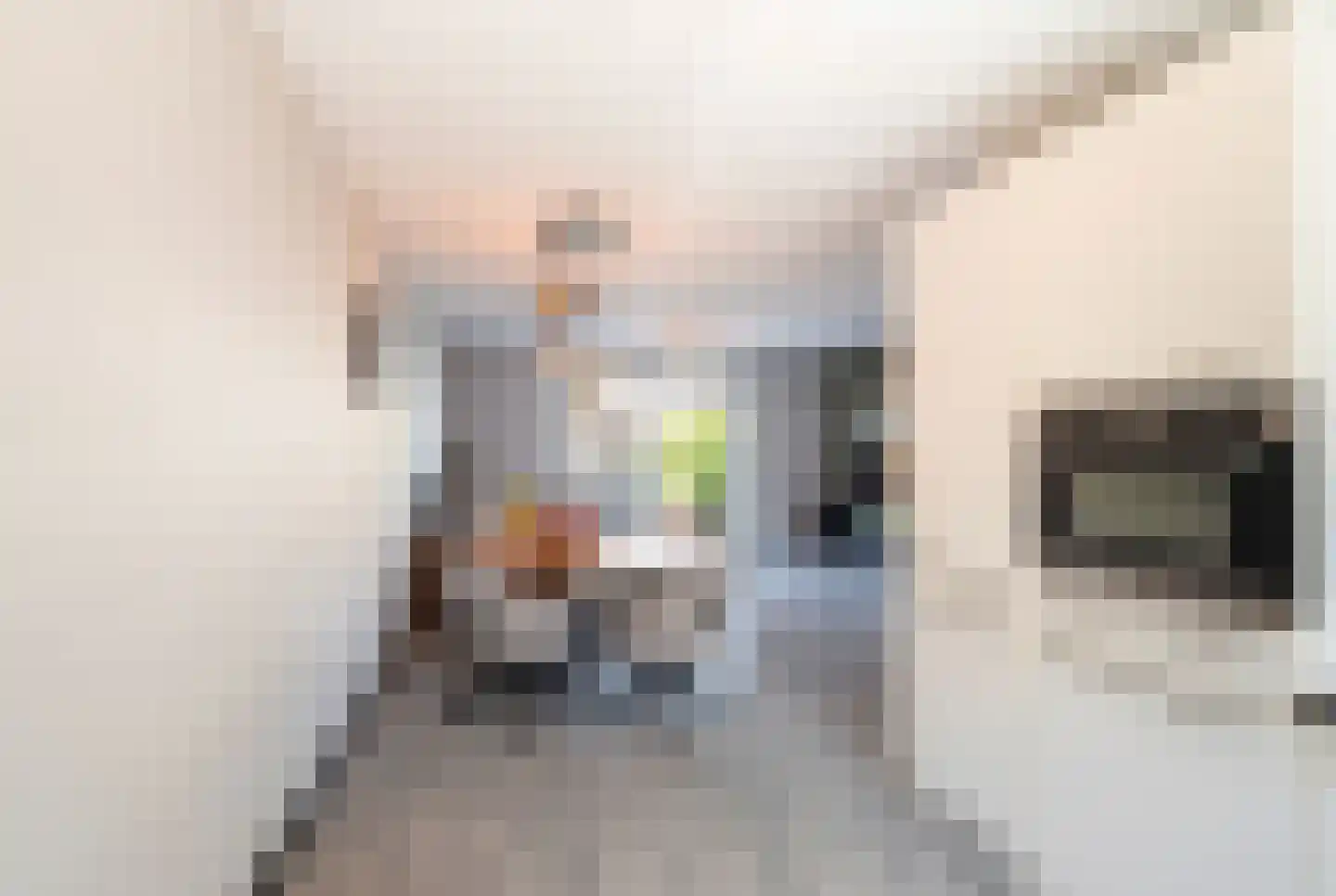Sudesstraat 19 Naaldwijk thumbnail 15