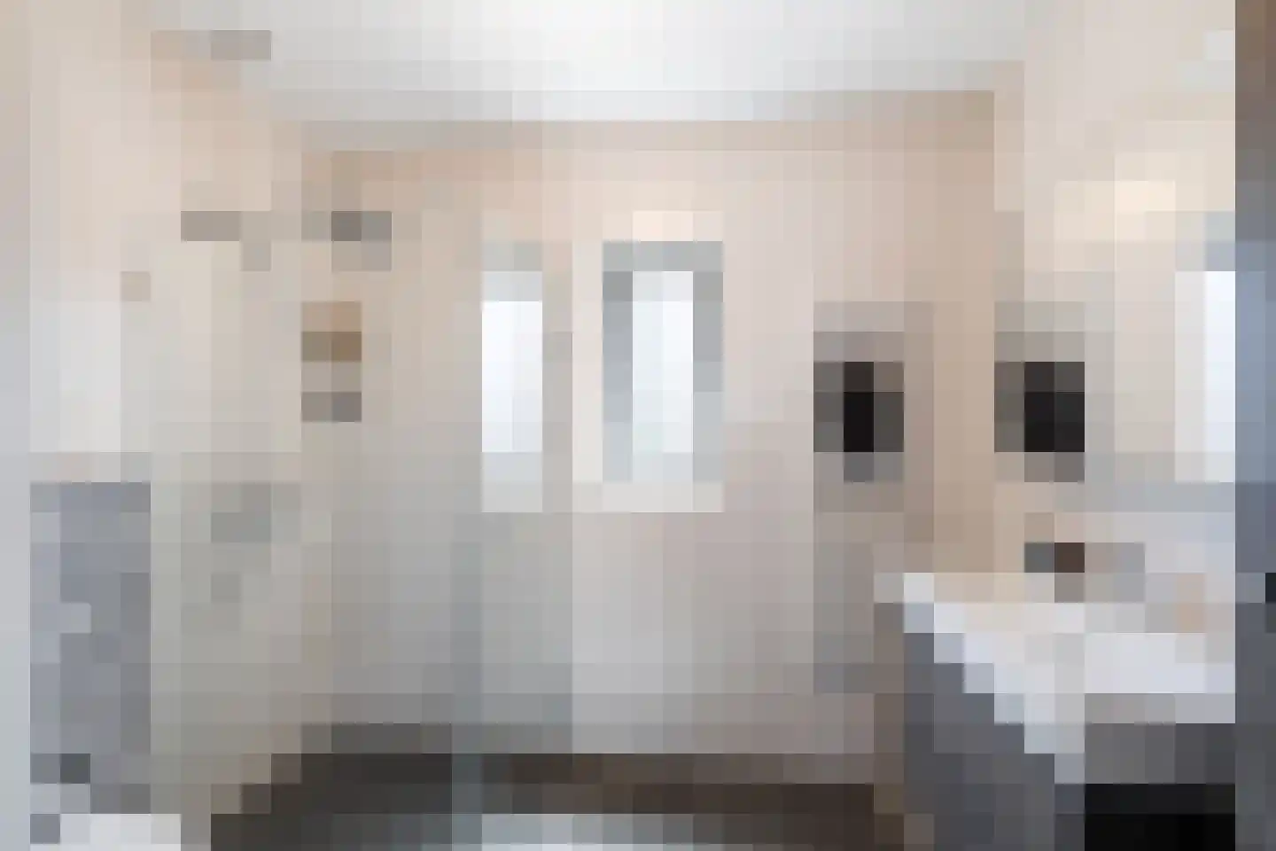Sudesstraat 19 Naaldwijk thumbnail 22