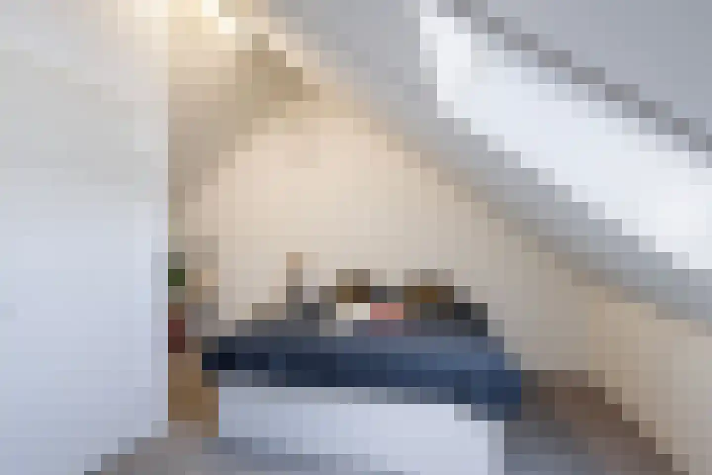 Sudesstraat 19 Naaldwijk thumbnail 27