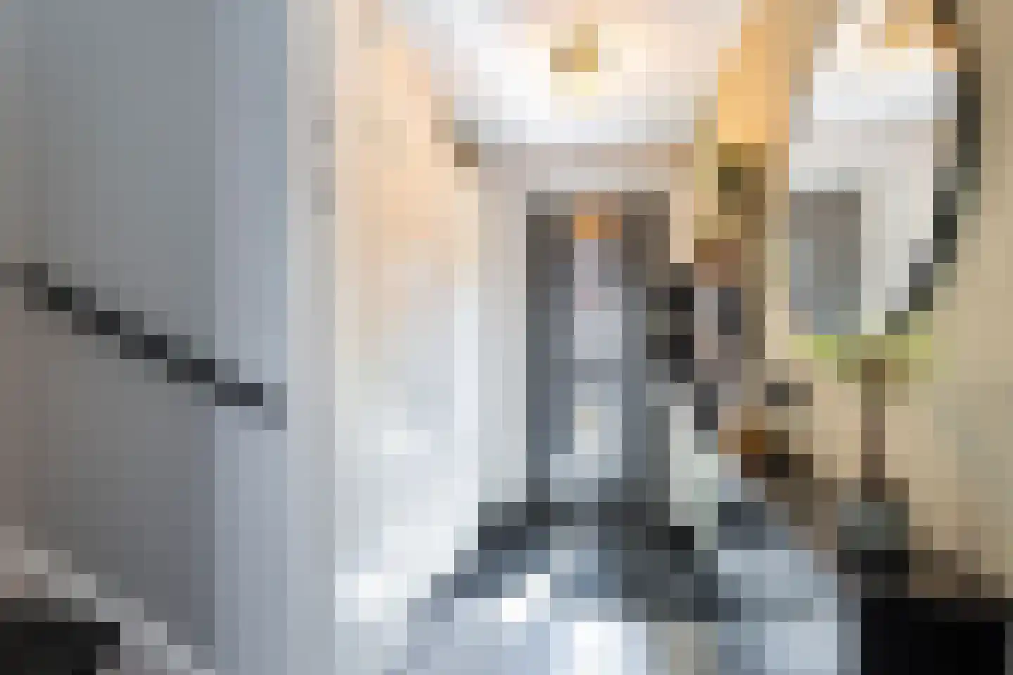 Sudesstraat 19 Naaldwijk thumbnail 31