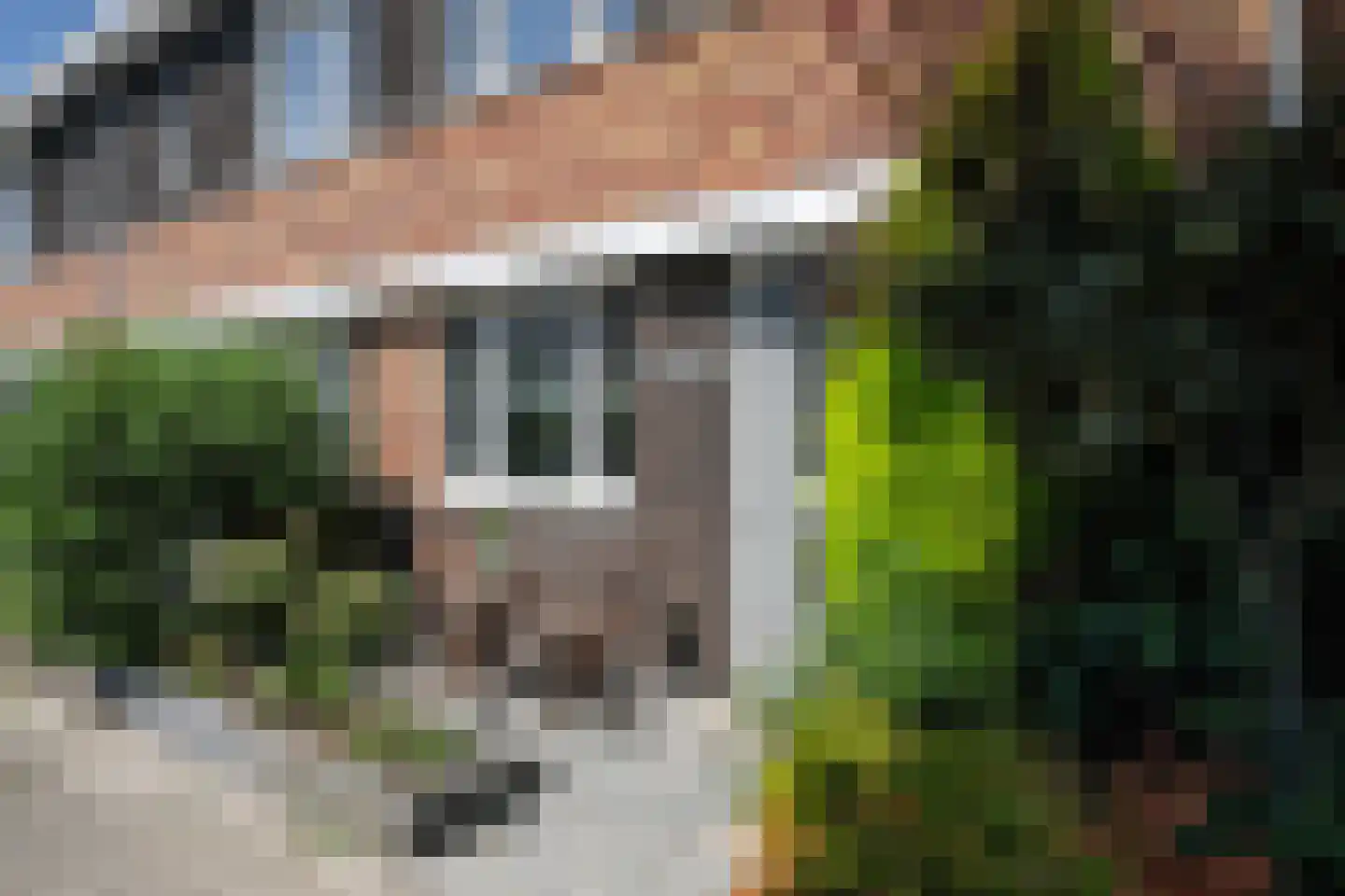 Sudesstraat 19 Naaldwijk thumbnail 32
