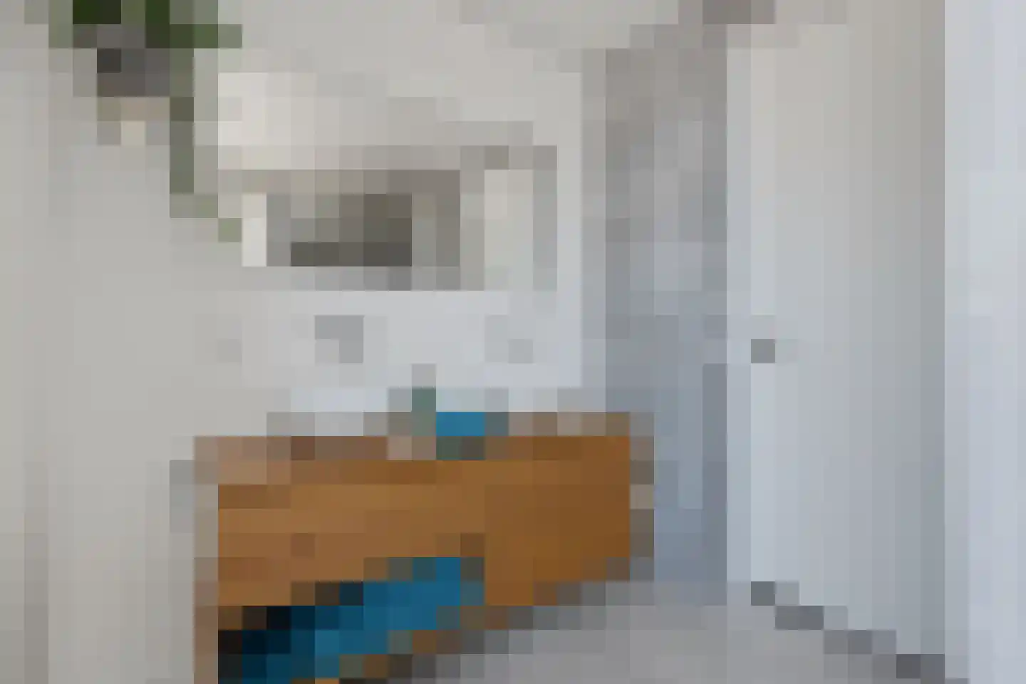 Sudesstraat 26 Naaldwijk thumbnail 25