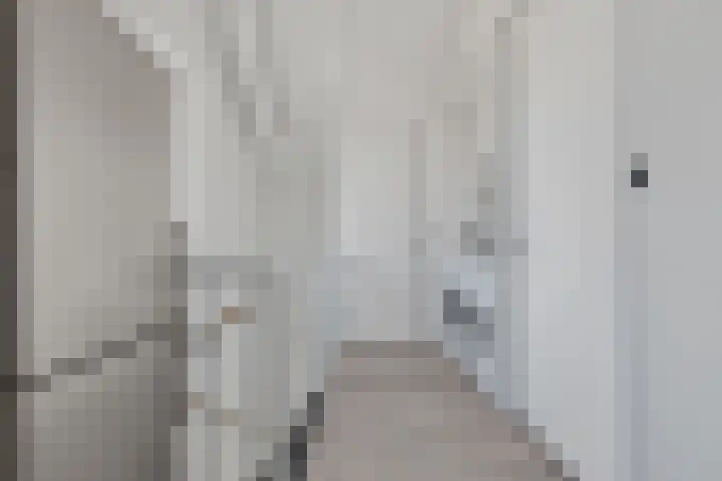 Sudesstraat 26 Naaldwijk thumbnail 27
