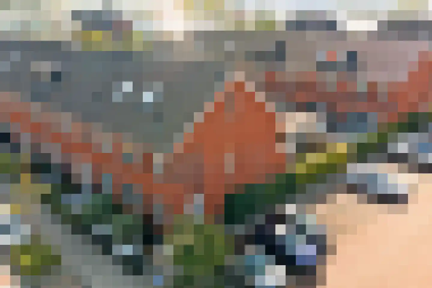 Sudesstraat 26 Naaldwijk thumbnail 38