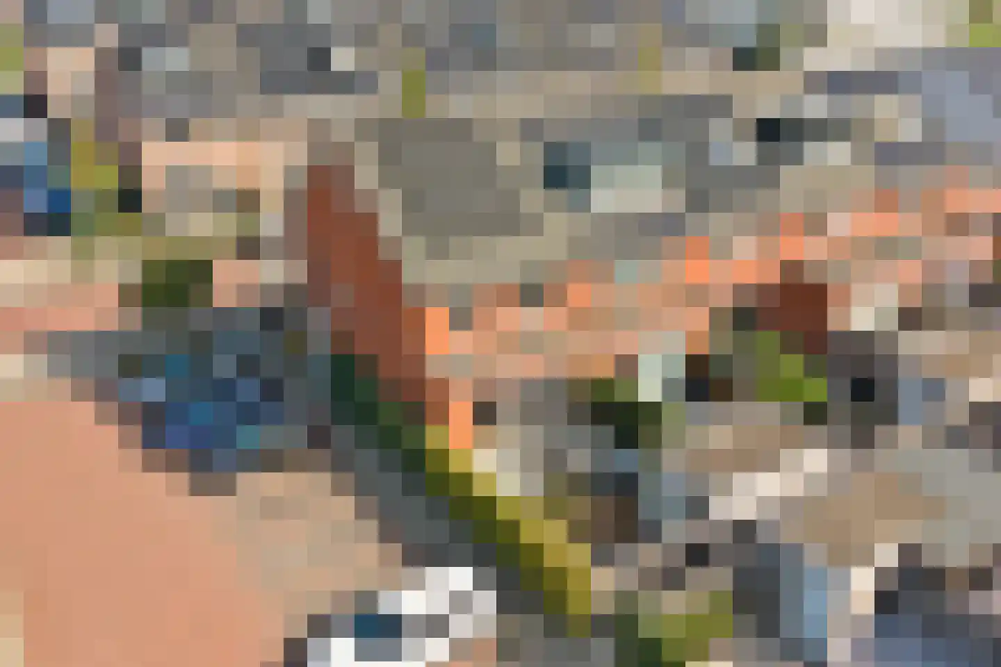Sudesstraat 26 Naaldwijk thumbnail 39