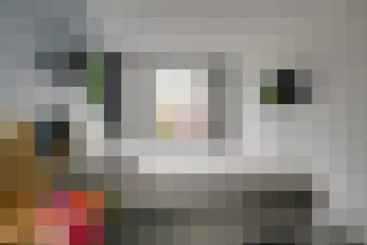 Sudesstraat 34 Naaldwijk thumbnail 15