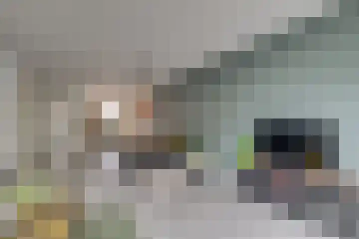 Sudesstraat 34 Naaldwijk thumbnail 4