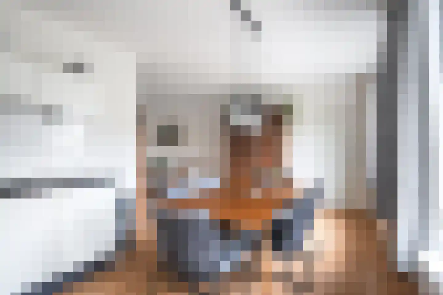 Súdfinne 5 Grou thumbnail 13