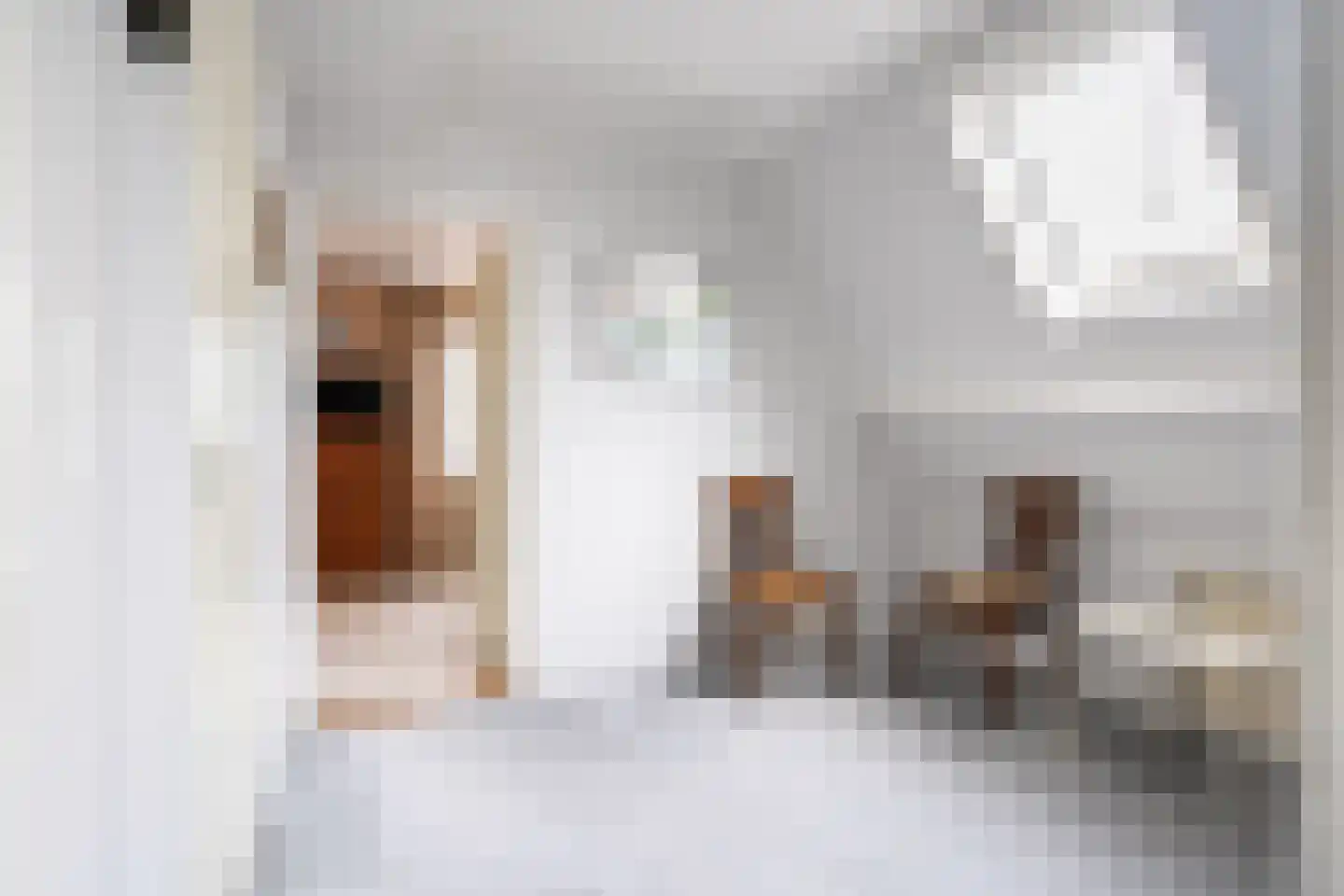 Súdfinne 5 Grou thumbnail 17
